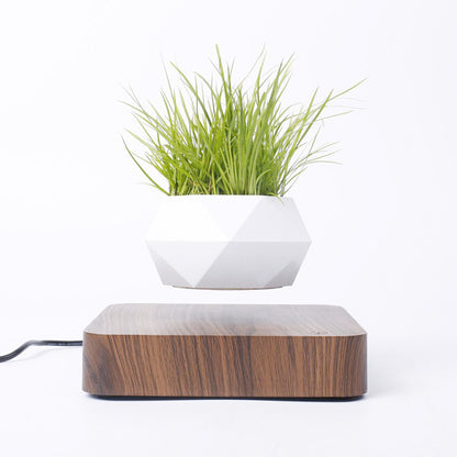 EverCart™ Magnetic Levitating Flowerpot