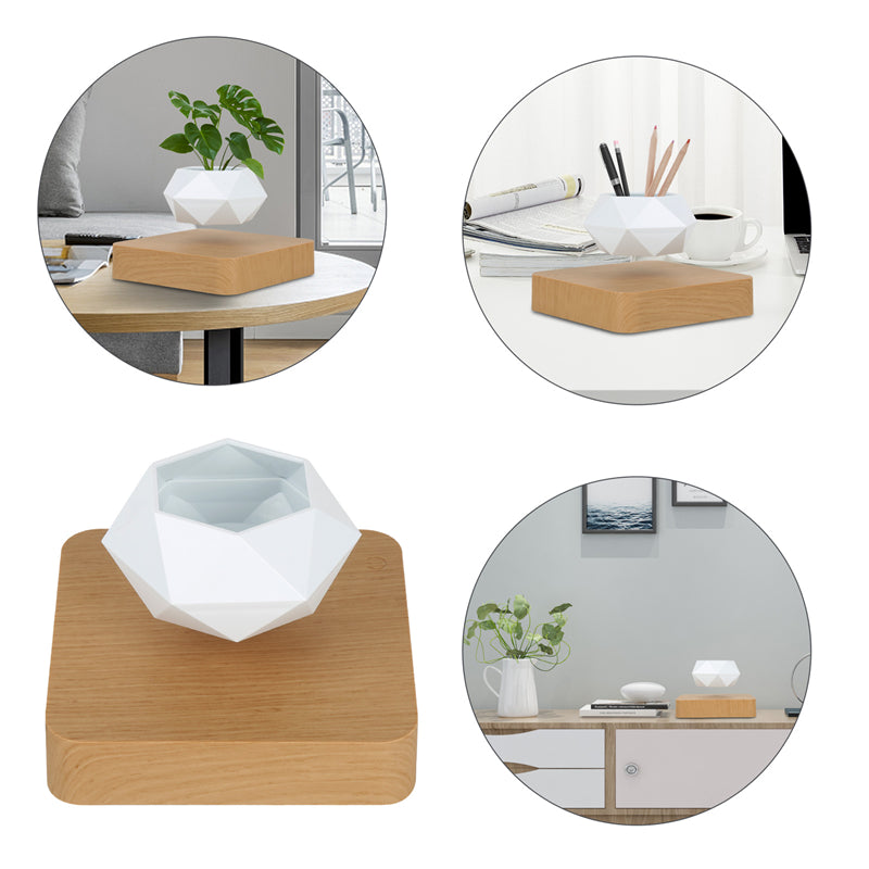 EverCart™ Magnetic Levitating Flowerpot