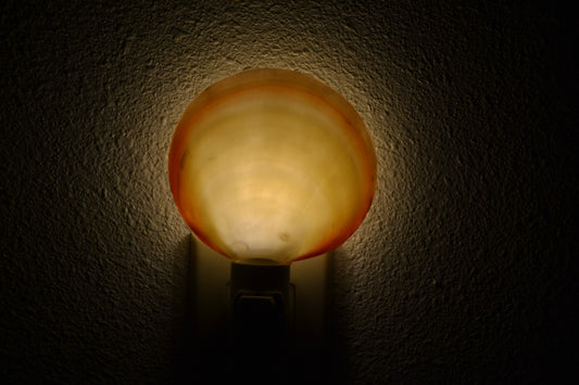 EverCart™ SeaGlow Nightlight