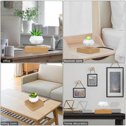 EverCart™ Magnetic Levitating Flowerpot