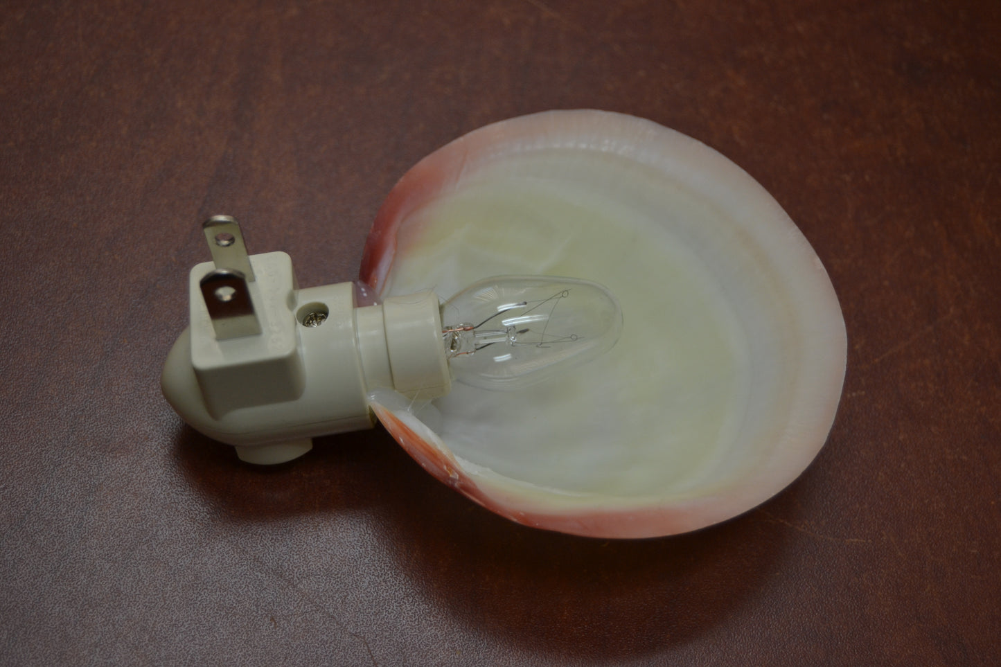 EverCart™ SeaGlow Nightlight
