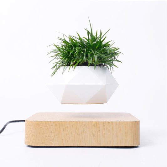 EverCart™ Magnetic Levitating Flowerpot