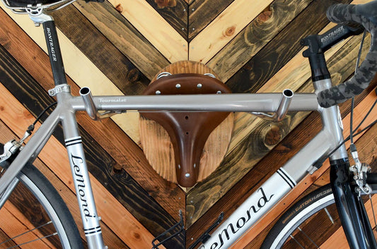 EverCart™ “The American” Bicycle Taxidermy Wall Rack
